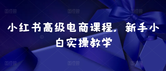 小红书高级电商课程，新手小白实操教学-旺铺专家
