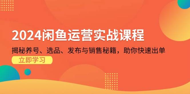 2024闲鱼运营实战课程：揭秘养号、选品、发布与销售秘籍，助你快速出单-旺铺专家