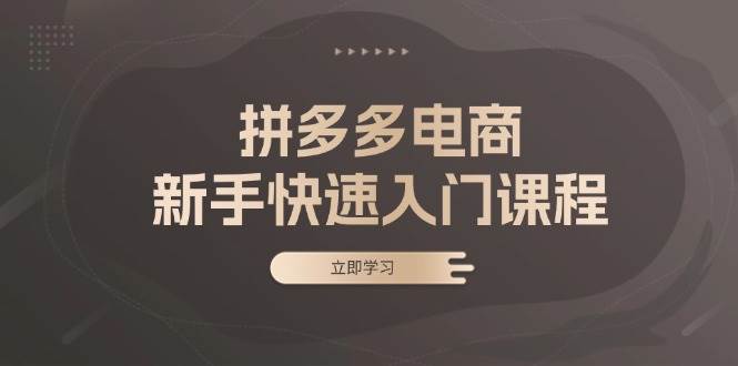 拼多多电商新手快速入门课程：涵盖基础、实战与选款，助力小白轻松上手-旺铺专家
