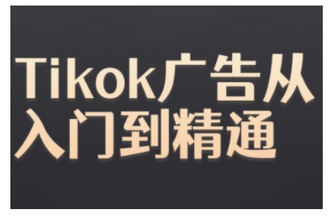 Tiktok Ads实操教程，Tiktok广告从入门到精通-旺铺专家