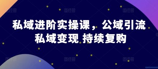 私域进阶实操课，公域引流 私域变现 持续复购-旺铺专家