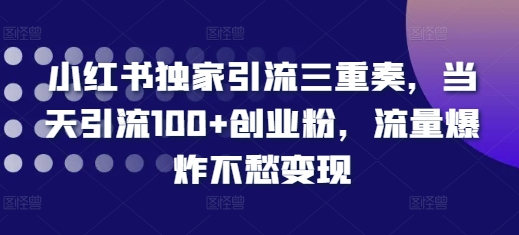 小红书独家引流三重奏，当天引流100+创业粉，流量爆炸不愁变现-旺铺专家