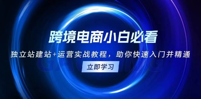 跨境电商小白必看！独立站建站+运营实战教程，助你快速入门并精通-旺铺专家