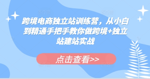 跨境电商独立站训练营，从小白到精通手把手教你做跨境+独立站建站实战-旺铺专家