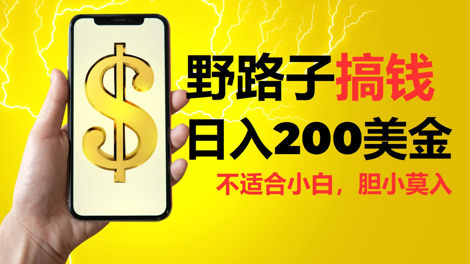 挂机野路子搞钱，日入200美金，路子很野，小白莫入-旺铺专家