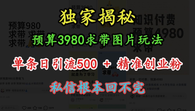 预算3980求带 图片玩法，单条日引流500+精准创业粉，私信根本回不完-旺铺专家