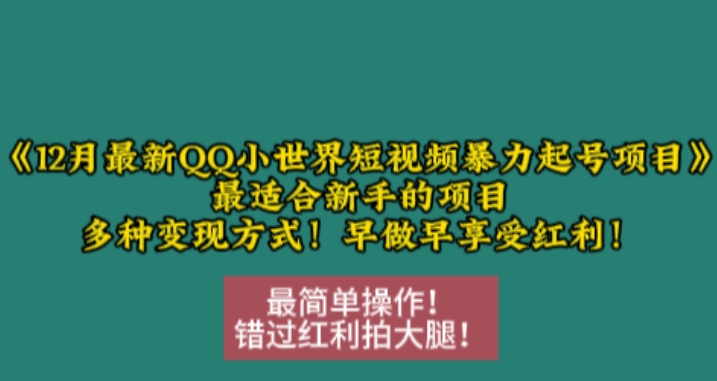 12月最新QQ小世界短视频暴力起号项目，最适合新手的项目，多种变现方式-旺铺专家
