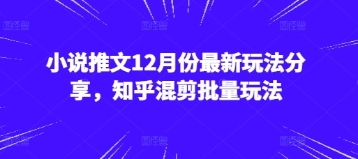小说推文12月份最新玩法分享，知乎混剪批量玩法-旺铺专家