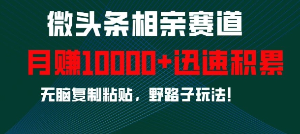 微头条相亲赛道，迅速积累，无脑复制粘贴，野路子玩法，月入1w-旺铺专家