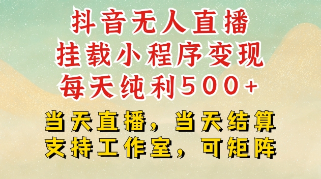 抖音无人直播挂载小程序变现每天纯利500+当天直播，当天结算支持工作室，可矩阵-旺铺专家