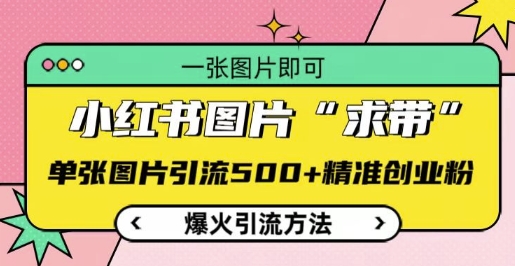 小红书图片‘求带’爆火引流法，单张图片引流500+精准创业粉-旺铺专家