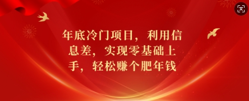 年底冷门项目，利用信息差，实现零基础上手，轻松赚个肥年钱-旺铺专家