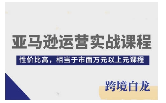 亚马逊运营实战课程，亚马逊从入门到精通，性价比高，相当于市面万元以上元课程-旺铺专家