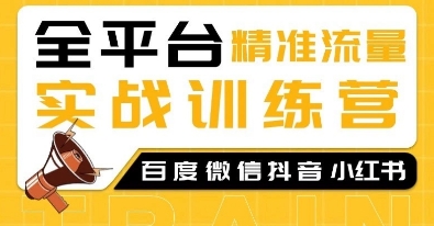 全平台精准流量实战训练营，百度微信抖音小红书SEO引流教程-旺铺专家