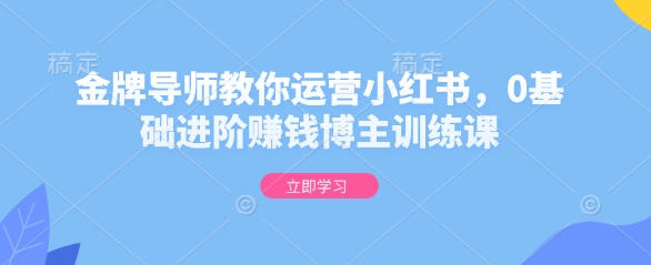 金牌导师教你运营小红书，0基础进阶赚钱博主训练课-旺铺专家