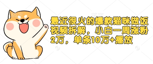 最近很火的爆款猫咪做饭视频拆解，小白一周涨粉2万，单条10万+播放(附保姆级教程)-旺铺专家