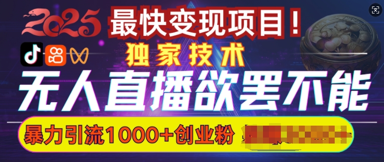 欲罢不能的无人直播引流，超暴力日引流1000+高质量精准创业粉-旺铺专家