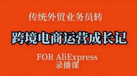 跨境电商速卖通运营课，​运营方法论+后台实操，逻辑清晰-旺铺专家