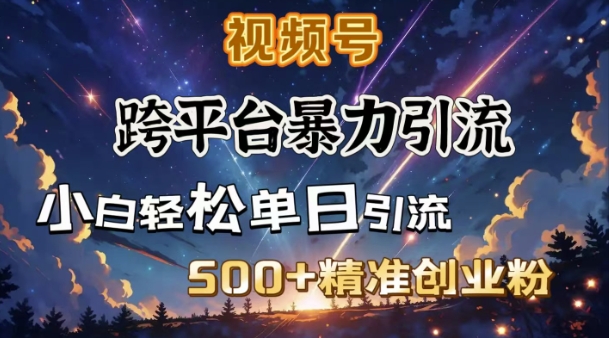 跨平台暴力引流，私域完美闭环，日引500+精准创业粉-旺铺专家