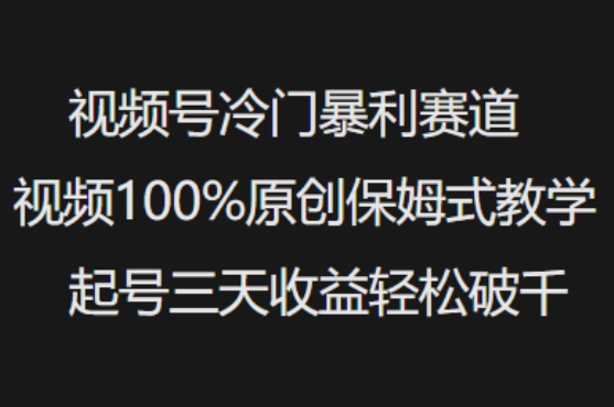 视频号冷门暴利赛道视频100%原创保姆式教学起号三天收益轻松破千-旺铺专家