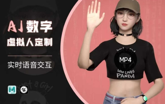 Ai数字人虚拟(智能体)实时语音交互特训营，​自行定制超写实角色AI数字人交互技术-旺铺专家