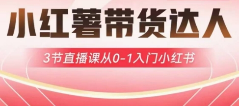 小红薯达人带货启航计划，3节直播课从0-1入门小红书-旺铺专家