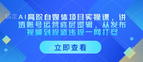 AI高阶自媒体项目实操课，讲透账号运营底层逻辑，从发布视频到规避违规一网打尽-旺铺专家