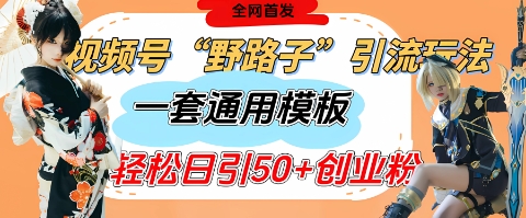视频号“野路子”玩法，评论区疯狂截流，一套模板单日单号引流50+创业粉-旺铺专家