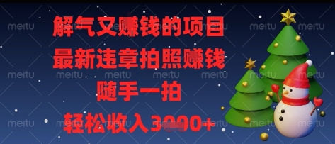 解气又挣钱的项目，最新违章拍照挣钱，随手一拍，轻松收入多张-旺铺专家