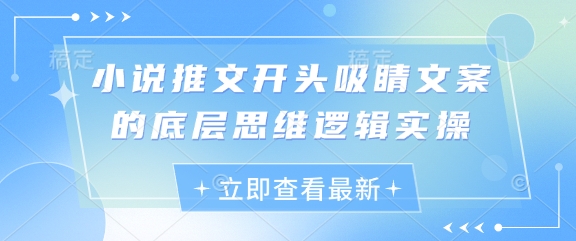 小说推文开头吸睛文案的底层思维逻辑实操-旺铺专家