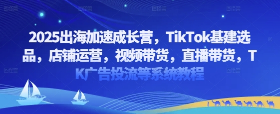 2025出海加速成长营，TikTok基建选品，店铺运营，视频带货，直播带货，TK广告投流等系统教程-旺铺专家