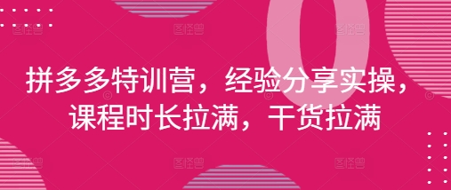 拼多多特训营，经验分享实操，课程时长拉满，干货拉满(更新25年4月)-旺铺专家