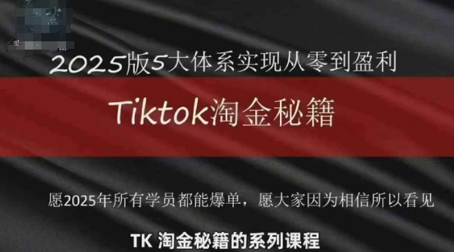 TikTok跨境2025淘金秘籍，​2025TikTok从0到盈利变现-旺铺专家