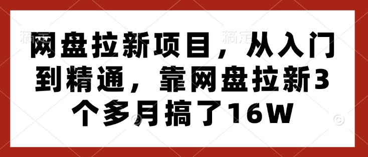 网盘拉新项目，从入门到精通，靠网盘拉新3个多月搞了16W-旺铺专家